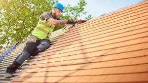 Best Skylight Installation and Repair  in Luverne, AL