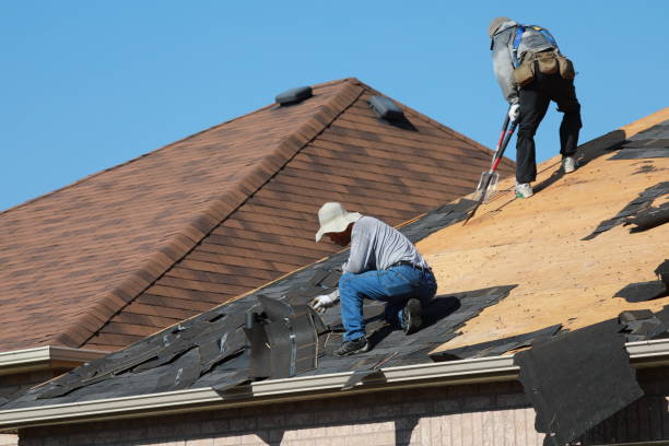 Best Roof Maintenance and Cleaning  in Luverne, AL