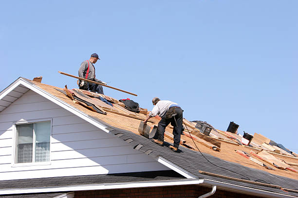 Best Roof Coating and Sealing  in Luverne, AL